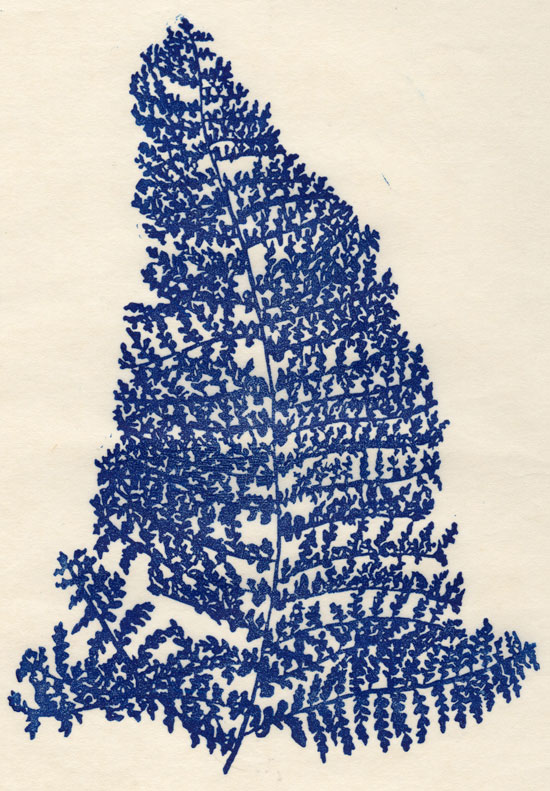 Fern
Linocut