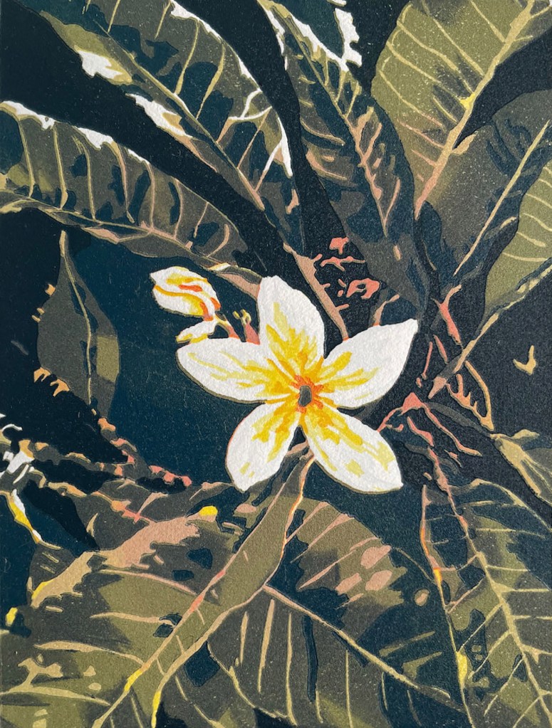 Frangipani
Linocut