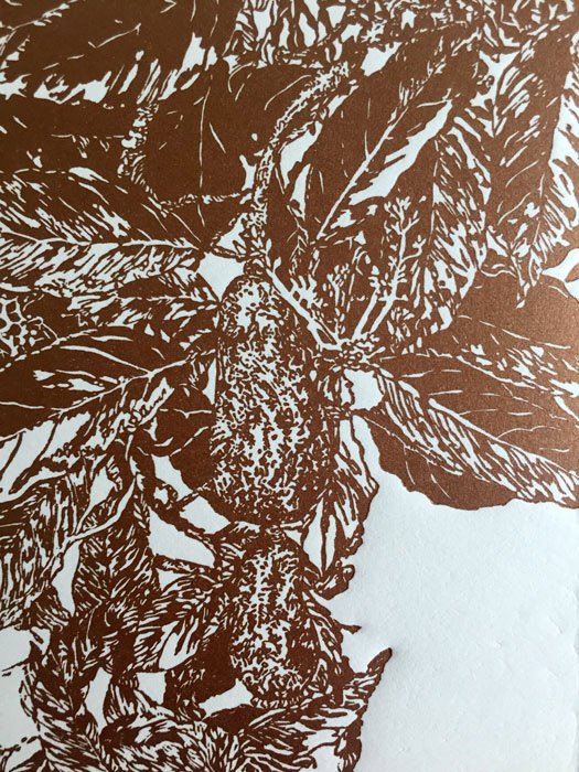 Garden Avocado in copper
Wood engraving